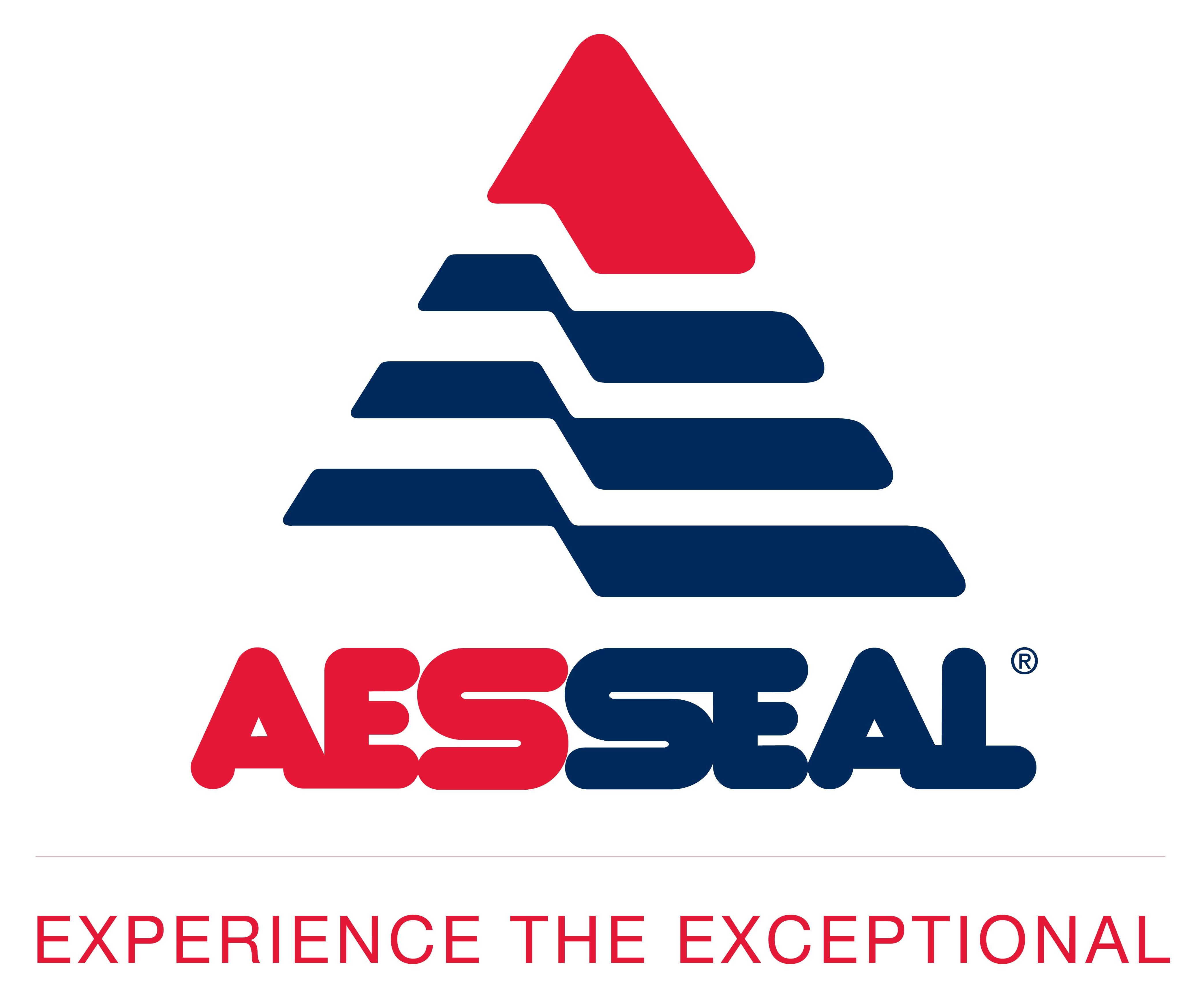 AES Seal Logo